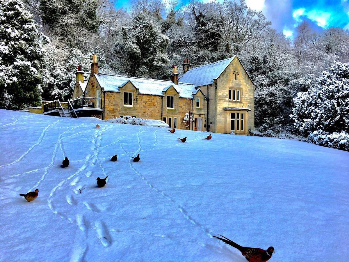 Mulgrave Country Cottage Sandsend Bagian luar foto